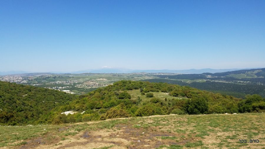 הנוף מערבה מעין זבד